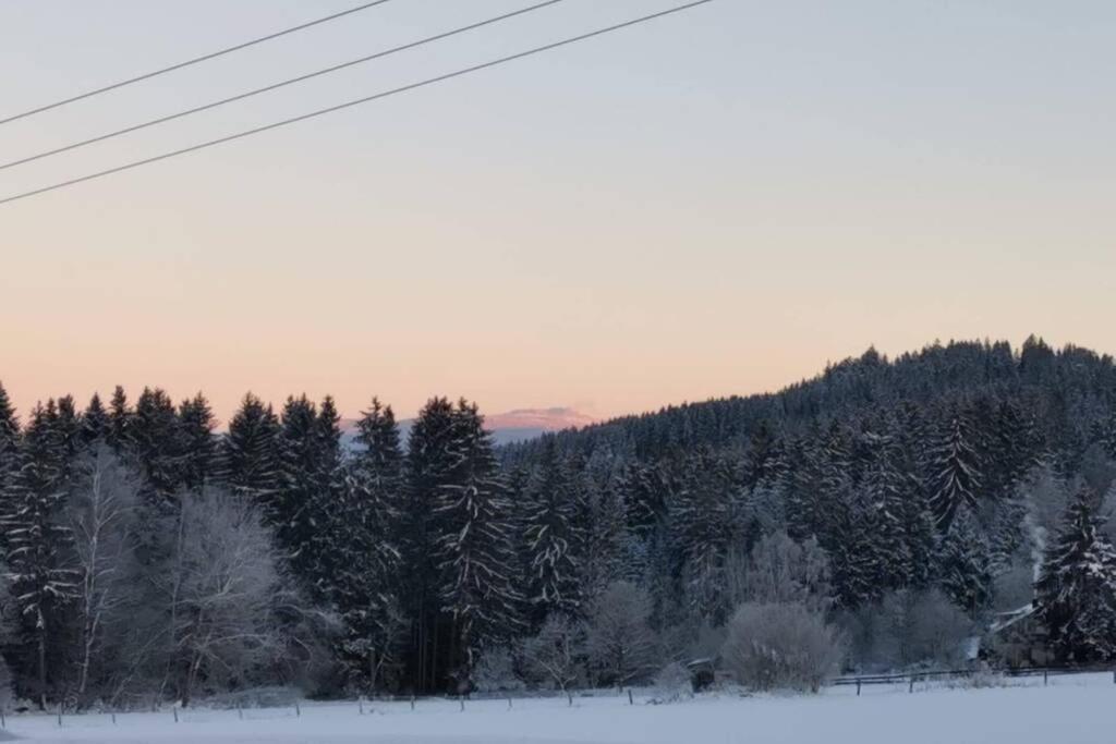 Ferienwohnung Ramona - Idyllisch Und Charmant Kirchdorf im Wald Eksteriør billede